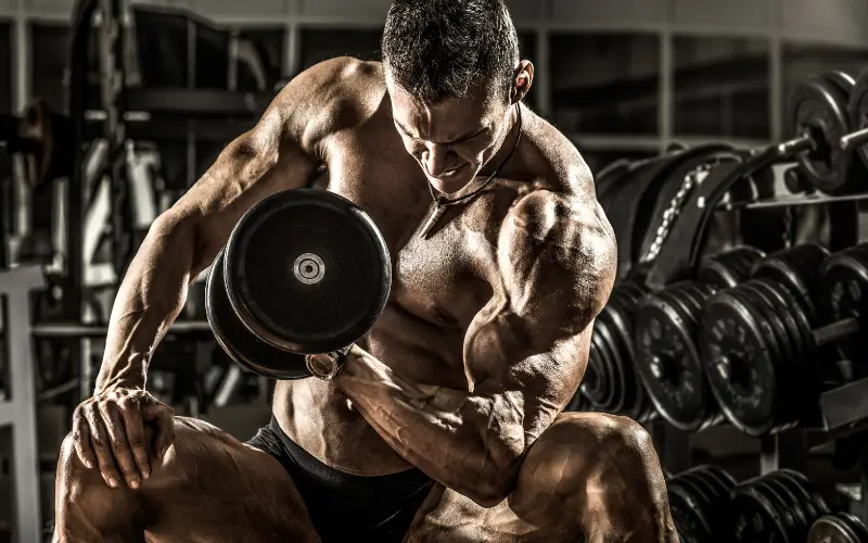 Bodybuilding-Training und Ernährung für dauerhafte Ergebnisse 1 Arten des Bodybuildings